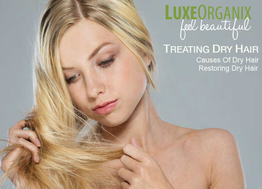 Dry Hair and Tips for Treating It | LuxeOrganix Healthy Hair & Skin Care